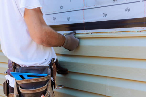 Affordable Vinyl Siding solutions in Buena Vista, VA