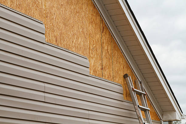 24/7 Emergency Vinyl Siding experts in Buena Vista, VA